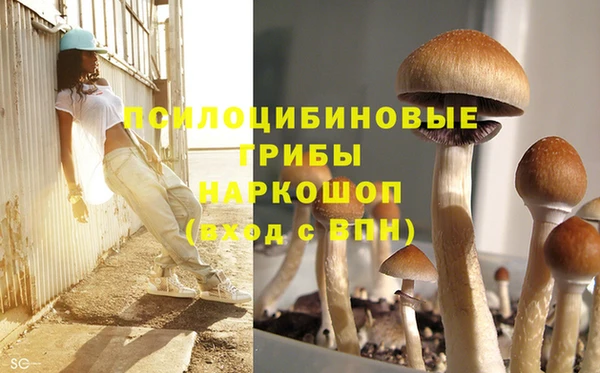 спайс Ступино