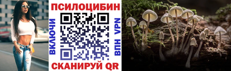 Галлюциногенные грибы Cubensis  Нестеровская 
